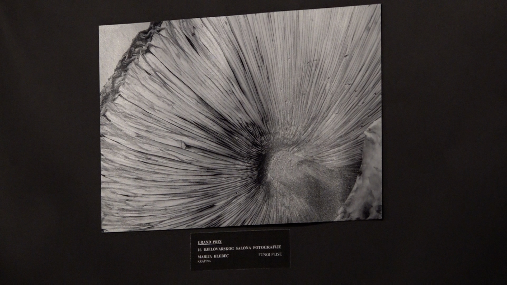 Grand prix fotografija